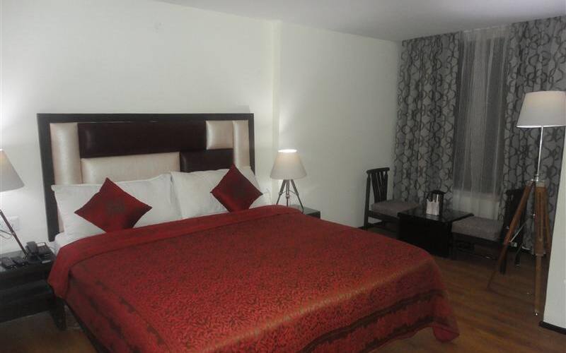 Swiss Wood Hotel, Manali 4